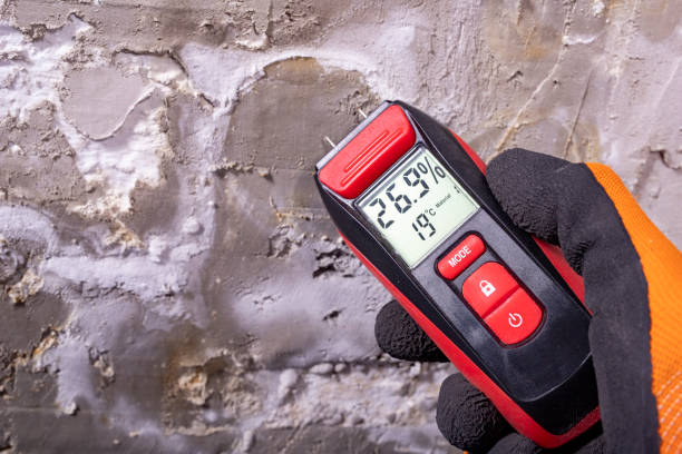 Best Professional Mold Removal  in La Habra, CA