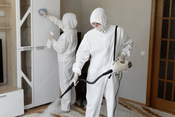 Best Mold Removal Process  in La Habra, CA