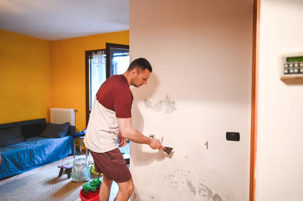 Best Fast Mold Removal  in La Habra, CA